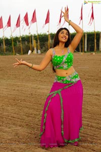 Richa Gangopadhyay Hot in Saree Photos