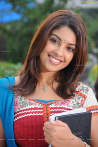 Richa Gangopadhyay Hot in Saree Photos