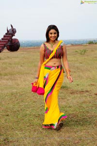 Richa Gangopadhyay Hot in Saree Photos