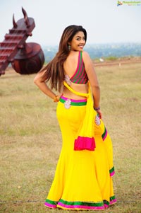 Richa Gangopadhyay Hot in Saree Photos