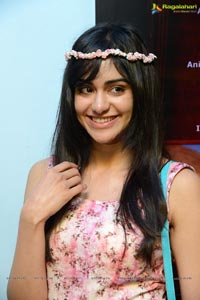 Heart Attack Heroine Adah Sharma Photos