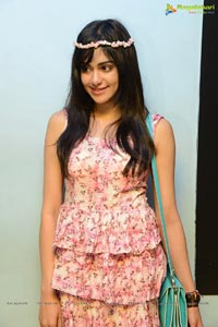 Heart Attack Heroine Adah Sharma Photos