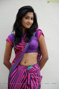 Heroine Srividya in Hot Saree