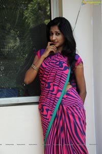 Heroine Srividya in Hot Saree