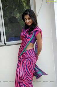 Heroine Srividya in Hot Saree