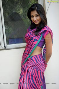 Heroine Srividya in Hot Saree