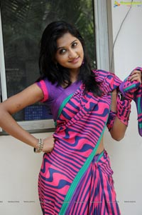 Heroine Srividya in Hot Saree