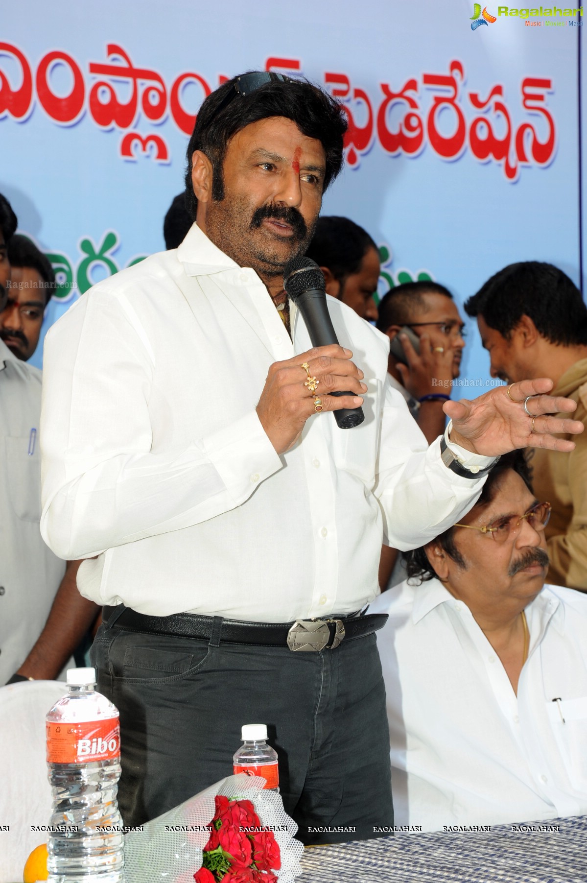 Nandamuri Balakrishna