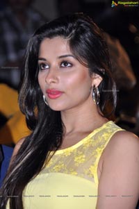 Madhurima Benarji @ Love u Bangaram Audio