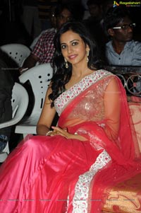 Rakul Preet Singh Venkatadri Express Audio