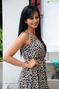 Bangalore Rakul Preet Singh