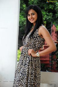 Bangalore Rakul Preet Singh