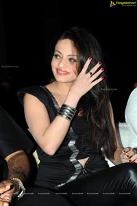 Sneha Ullal at TSR CCC 2013 Curtain Raiser