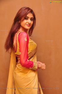 Sony Charishta in Saree Photos