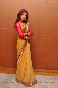 Sony Charishta in Saree Photos