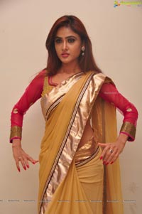 Sony Charishta in Saree Photos