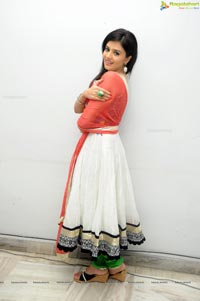 PIK Heroine Sree Mukhi