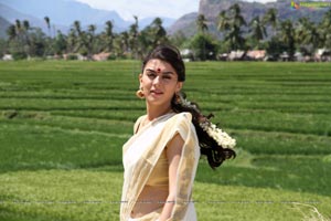 Hansika in Aranmanai