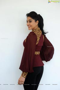 Regina Cassandra