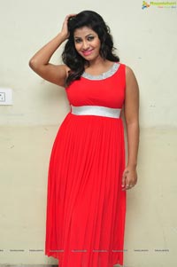 Geethanjali Thasya Photos