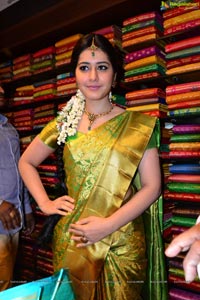 Rashi Khanna