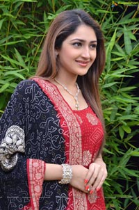 Sayesha Saigal Photos