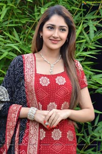 Sayesha Saigal Photos