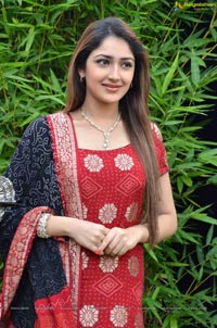 Sayesha Saigal Photos