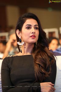 Sonal Chauhan Size Zero