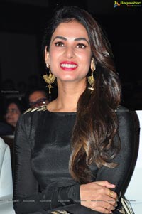 Sonal Chauhan Size Zero