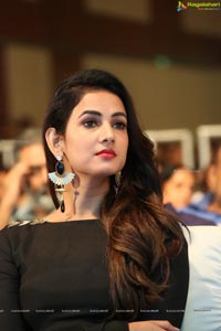 Sonal Chauhan Size Zero