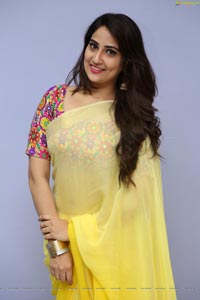 Manjusha Yellow Saree