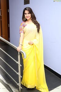 Manjusha Yellow Saree