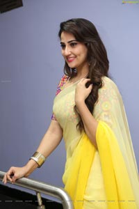 Manjusha Yellow Saree