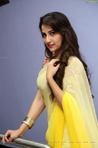 Manjusha Yellow Saree