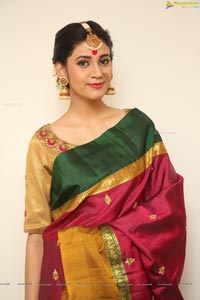 Andleeb Aeliya Zaidi