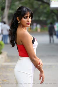 Amala Paul at Dongodochadu Press Meet