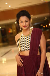 Vishwaroopam 2 Heroine Pooja Kumar