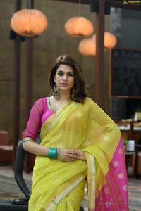 Shraddha Das in Saree