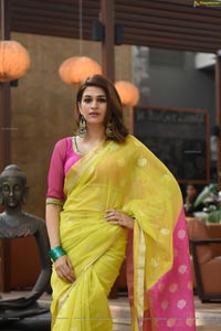 Shraddha Das in Saree