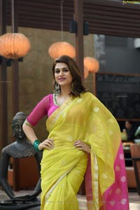 Shraddha Das in Saree