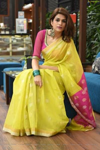 Shraddha Das in Saree