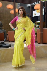 Shraddha Das in Saree