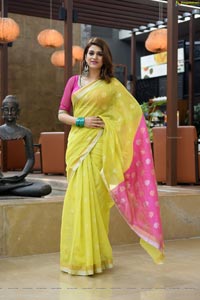 Shraddha Das in Saree