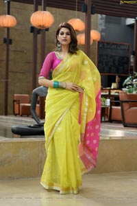 Shraddha Das in Saree