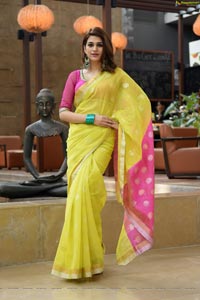 Shraddha Das in Saree