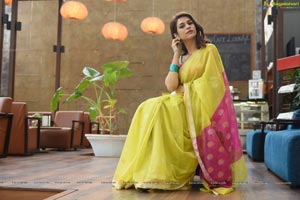 Shraddha Das in Saree