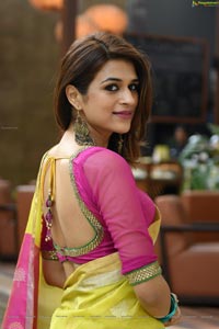 Shraddha Das in Saree