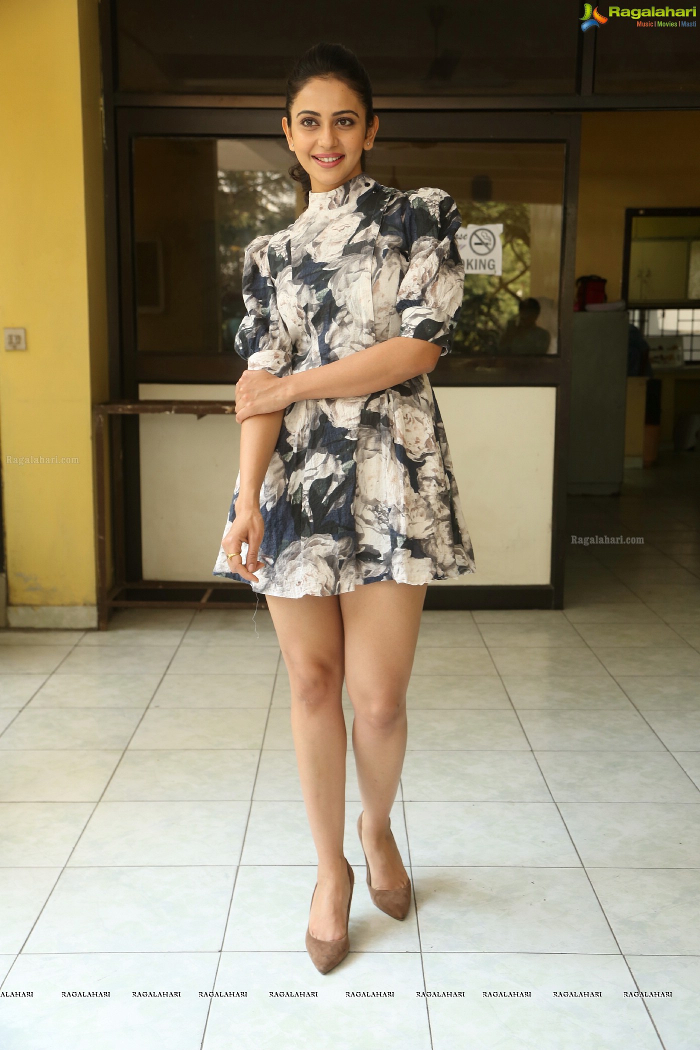 Rakul Preet Singh at Khakee Interview (Posters)