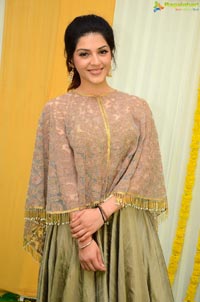 Heroine Mehrene Kaur Pirzada